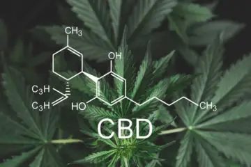 CBD Regulation is Evident in Florida Lawsuit