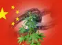 Chinese blockchain investor revamps business plan towards industrial cannabis, in wake of bitcoin rout