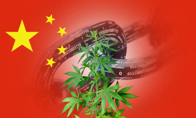 Chinese blockchain investor revamps business plan towards industrial cannabis, in wake of bitcoin rout