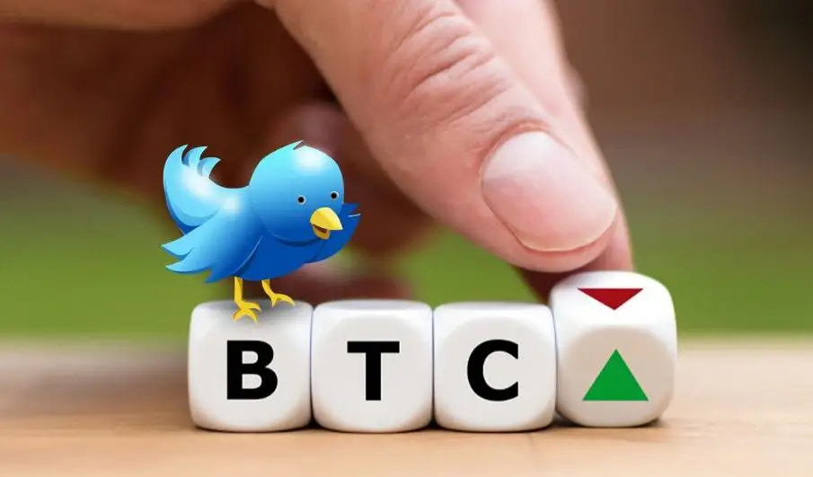 Bitcoin Price is Related to Bitcoin Tweets by Traders