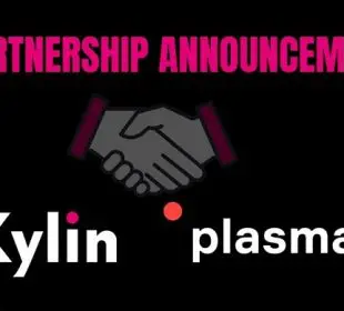 Plasma Pay Partners With Kylin for Oracle Services