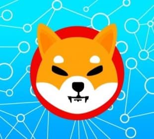 Shiba Inu (SHIB) Consolidates for Further Price Action!